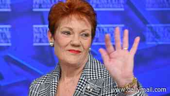 Anthony Albanese delays major migration overhaul again as voters flock to Pauline Hanson's One Nation