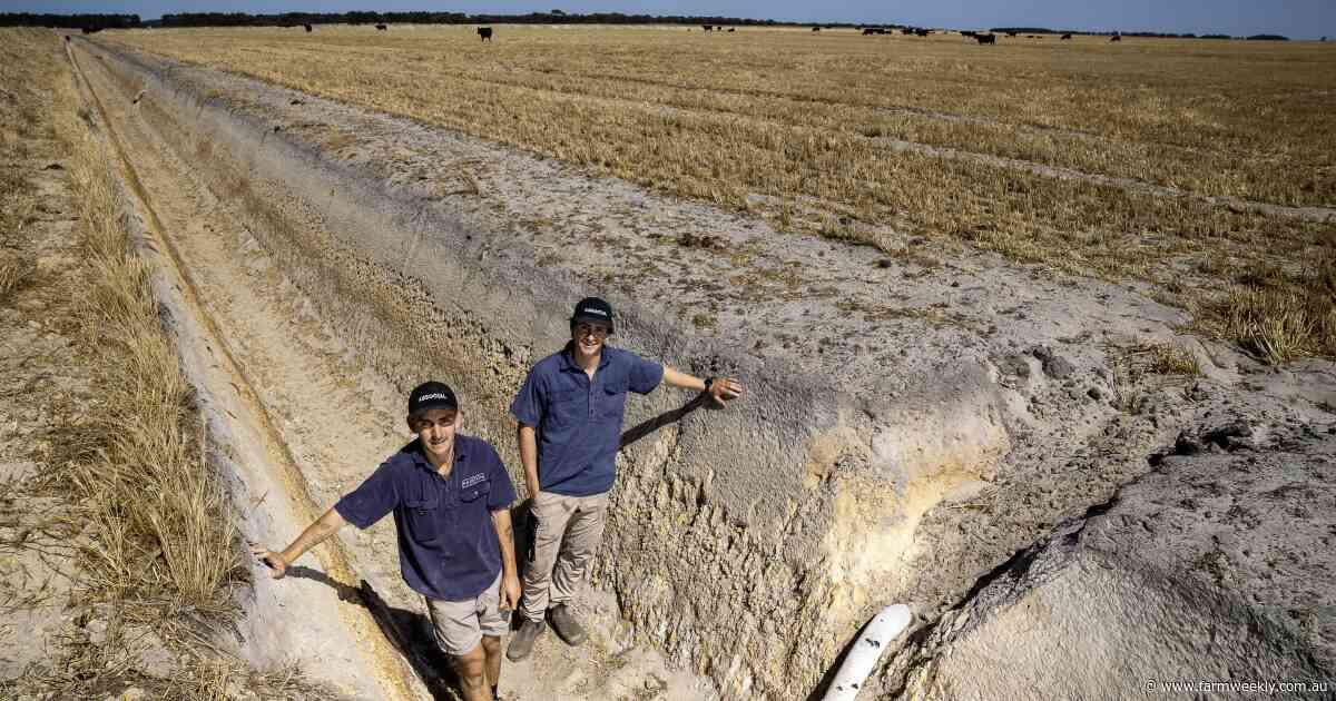 How the Curnow brothers went from wash out into a 5t/ha wheat potential
