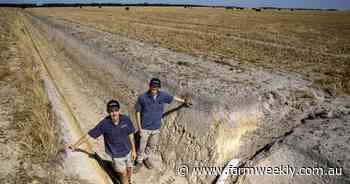 How the Curnow brothers went from wash out into a 5t/ha wheat potential
