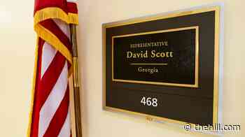 Live results: Georgia holds special election runoff for David Scott's House seat
