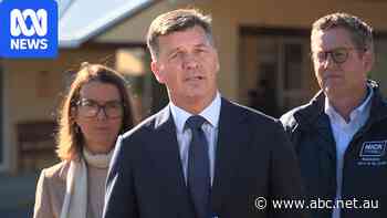 Live: Taylor renews calls for Labor MP facing fresh bail charges to be stood down