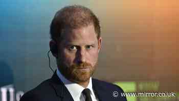 Prince Harry was 'thinking about UK return for a while' and 'never stopped missing homeland'