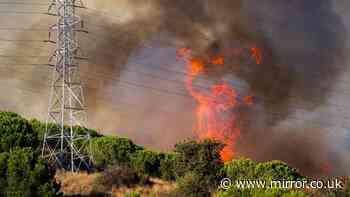 'Explosion' heard as Barcelona fire burns 25 hectares and residents told 'stay indoors'