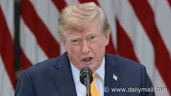 Trump torched by conservatives for 'dumbest trade war in history' as he punishes Canada while feud becomes personal