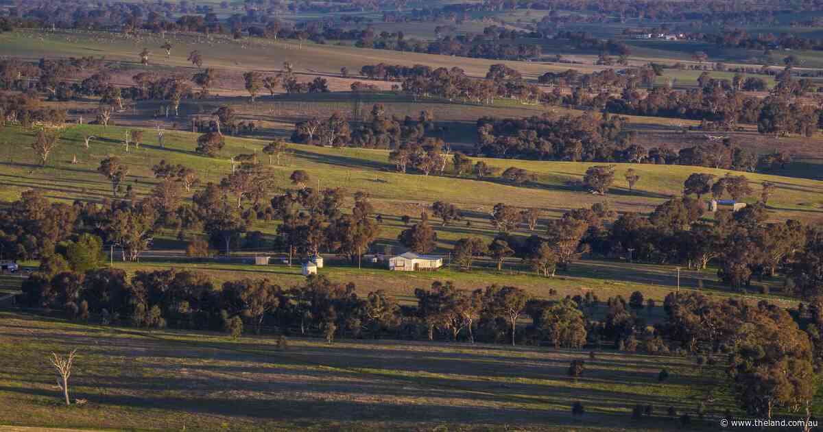 Dovers Flat delivers highly productive south west slopes country | Video