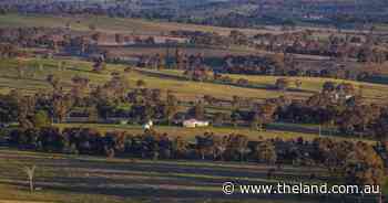 Dovers Flat delivers highly productive south west slopes country | Video
