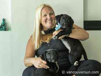 Port Moody yoga studio scrutinized by bylaw enforcers over rescue puppy yoga