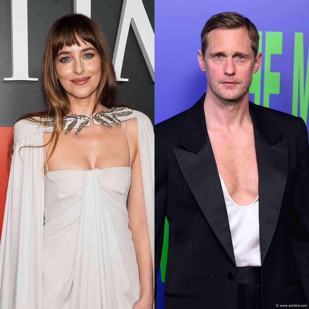 See Dakota Johnson, Alexander Skarsgård in Steamy Makeout Scene