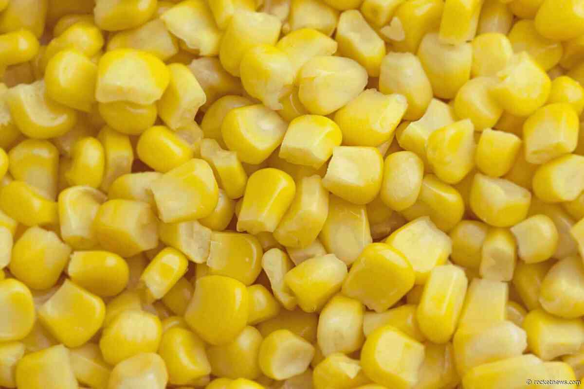 Corn Shooting Higher on Monday Morning