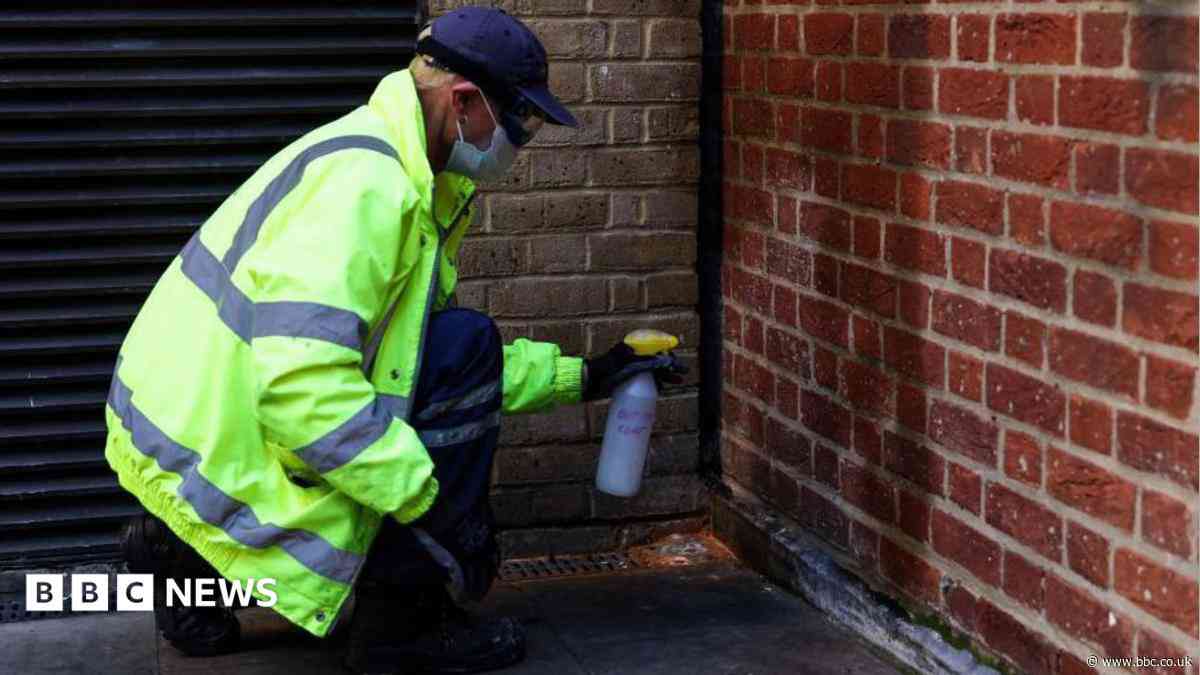 Seven fines for street wees in scheme's first year