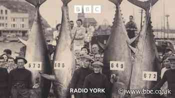 Tuna fishing once made Scarborough world-famous
