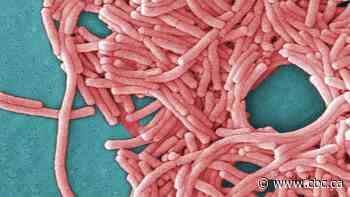 TTC cooling tower is source of legionnaires' disease outbreak: Toronto Public Health