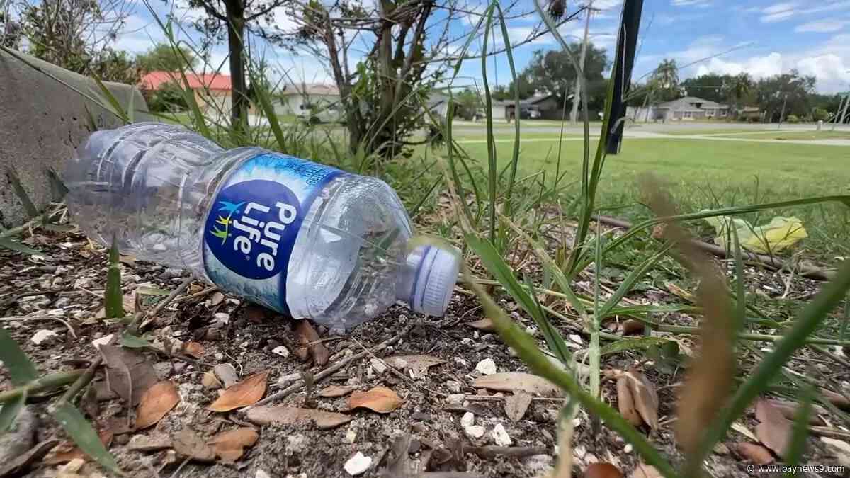 Group calls Apollo Beach 'hidden gem,' plans cleanups