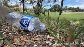 Group calls Apollo Beach 'hidden gem,' plans cleanups