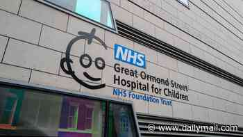 Wealthy residents near Britain's most famous children's hospital outraged at plans to have 'drones carrying blood' fly over their homes