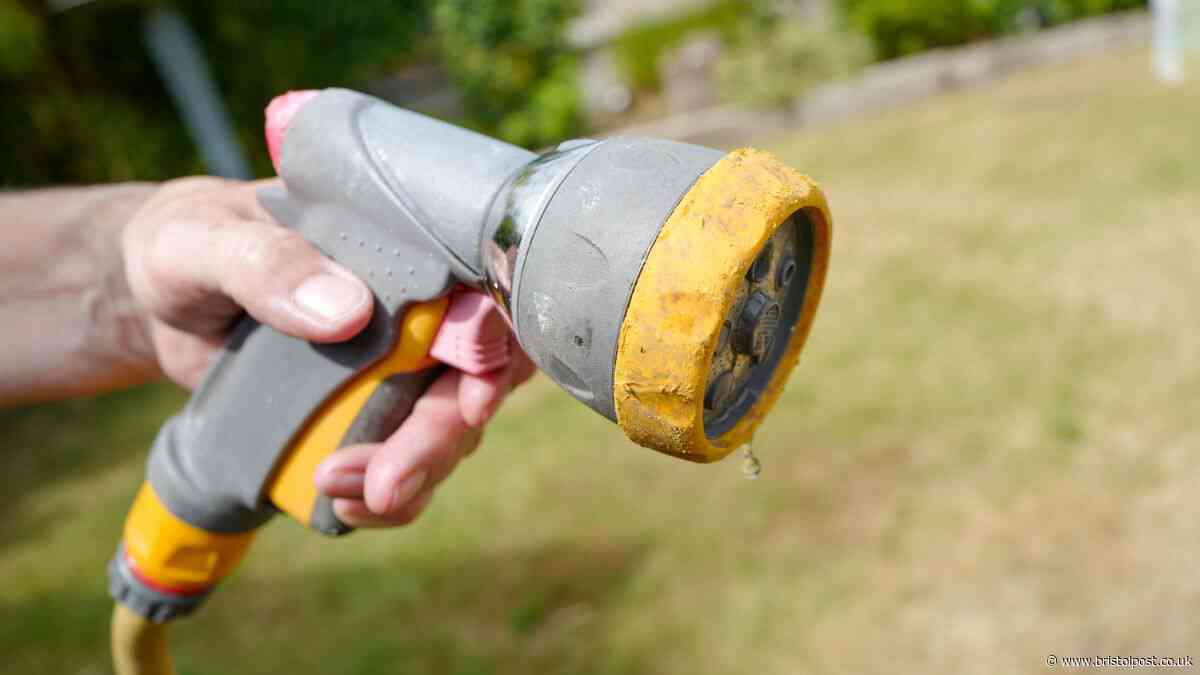 Bristol Water announces first hosepipe ban in 50 years