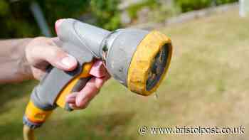 Bristol Water announces first hosepipe ban in 50 years