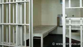 'Revolving door' prison system will cancel out impact of early releases, ministers warn