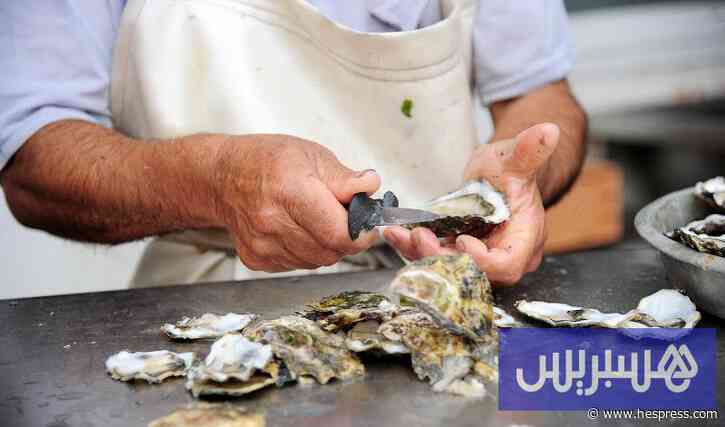 حظر جمع وتسويق "صدفيات مسمومة"