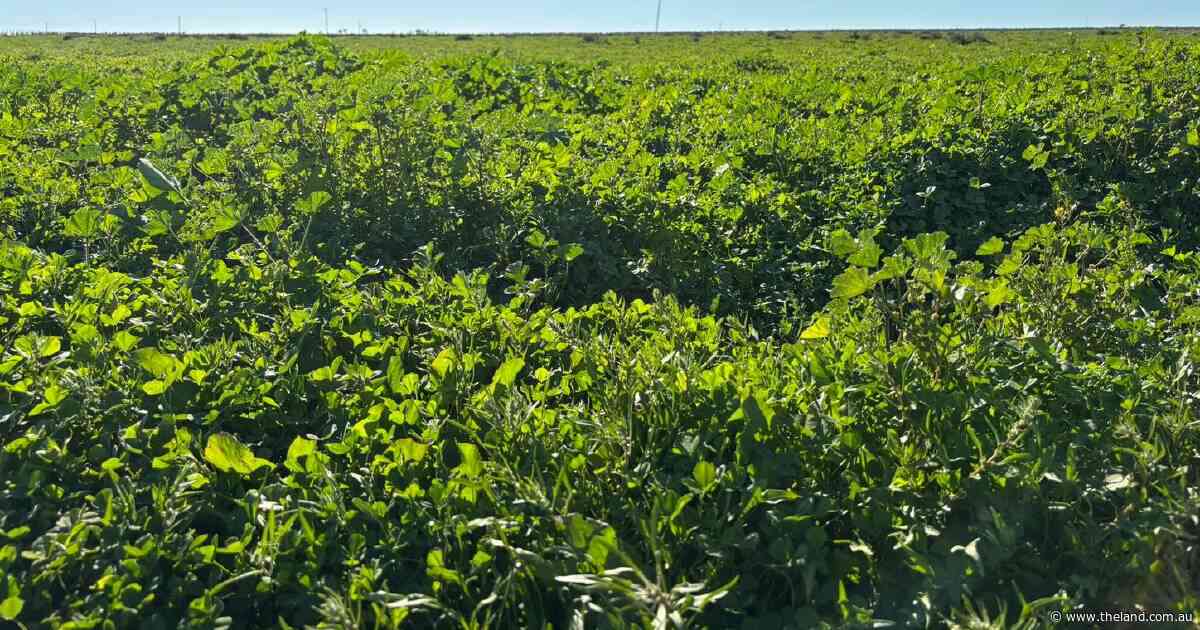 Major aggregation with an impressive 6500 acres of arable country
