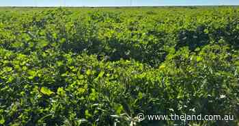 Major aggregation with an impressive 6500 acres of arable country