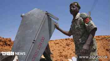 Trump envoy calls for Sudan-wide arms embargo as drone attacks escalate