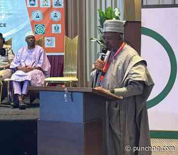 Nigeria seeks regional cooperation to strengthen border governance