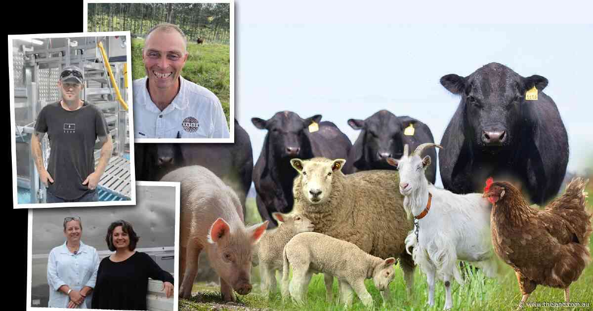The rise of the micro-abattoir: paddock-to-plate dream hit by processing squeeze