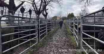 Rain, grass defies El Nino: 'if you find any cattle of value, let me know'