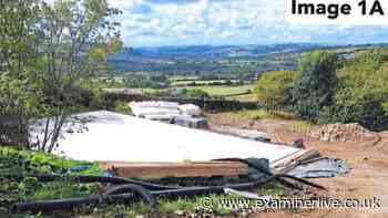 Firm to pay Yorkshire council 'significant costs' after ancient woodland cut down