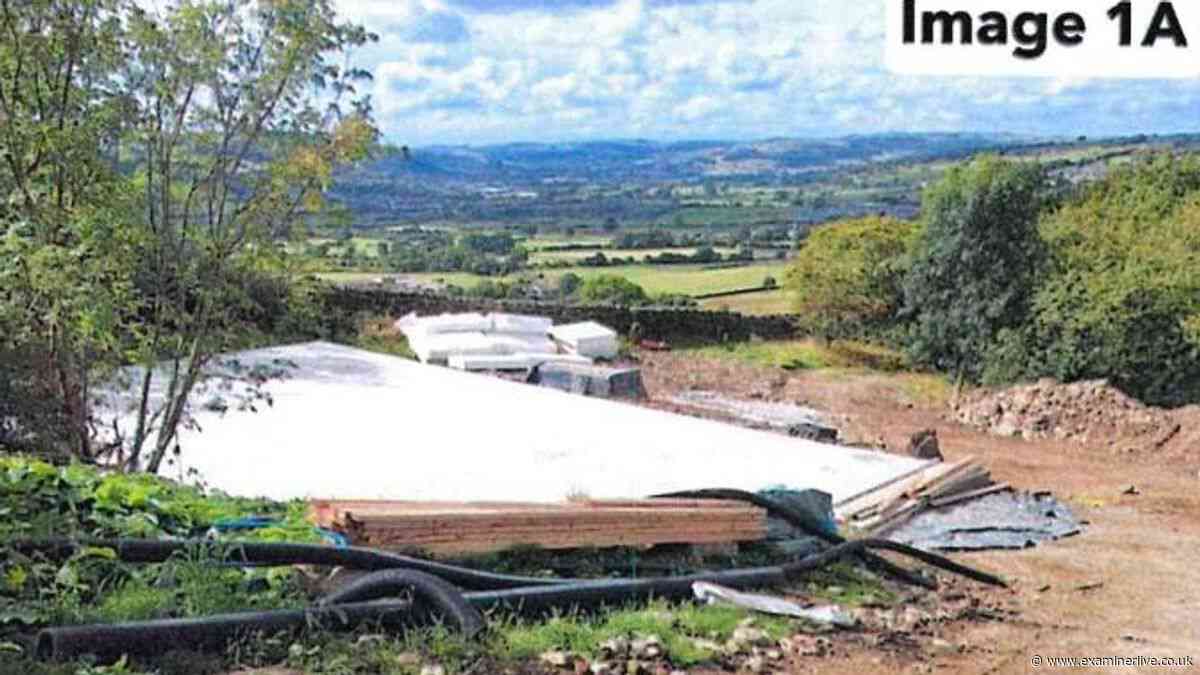 Firm to pay Yorkshire council 'significant costs' after ancient woodland cut down