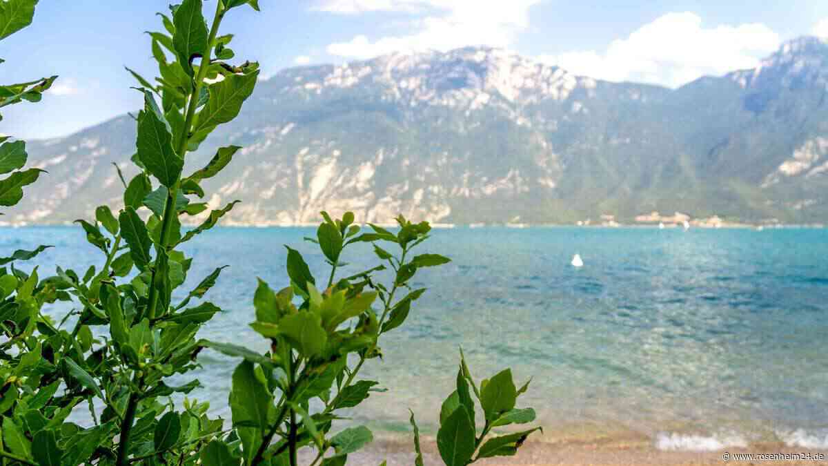 „Monster“ im Gardasee fressen Hunde und Enten –  Behörden zahlen 100.000 Euro
