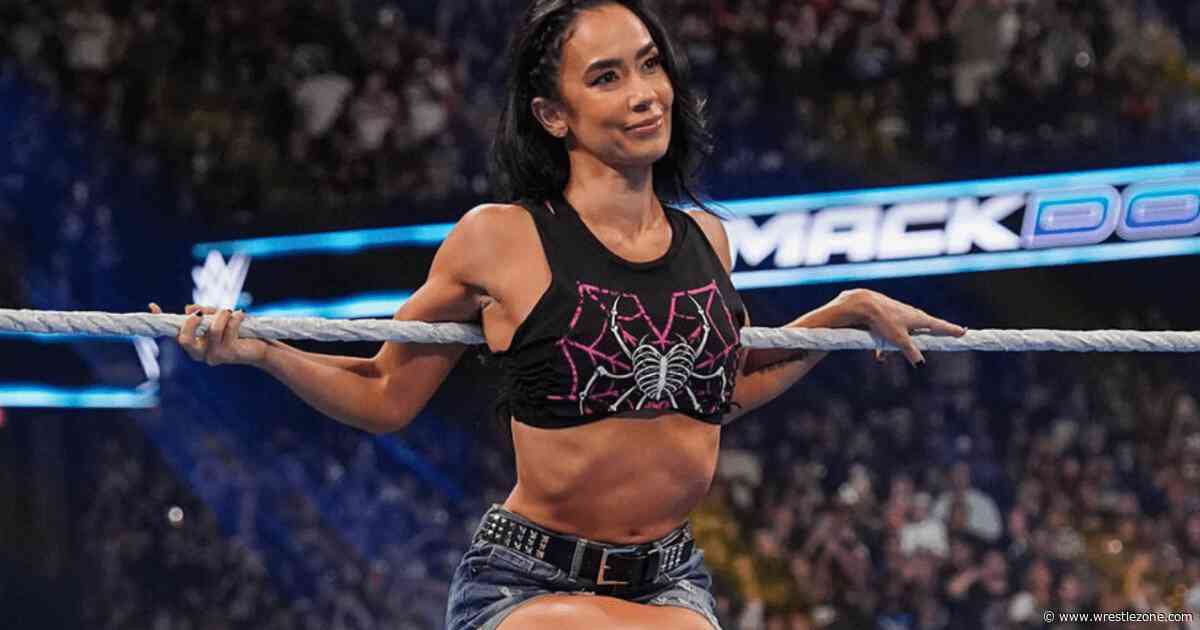 AJ Lee’s Future in WWE Gets New Backstage Details— Report