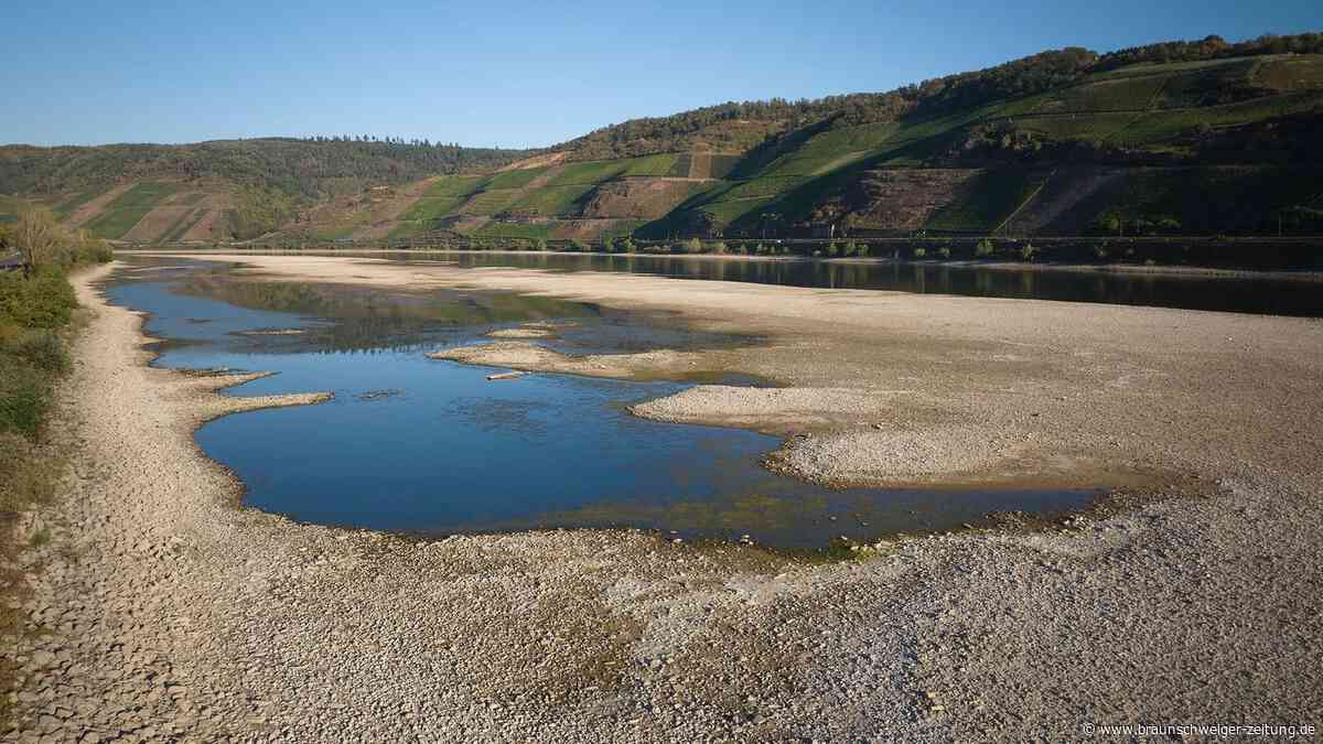 Dürresommer: Wasserversorger berichten von Engpässen