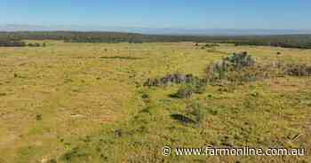 Productive 11,000 acre cattle country property sold at strong auction