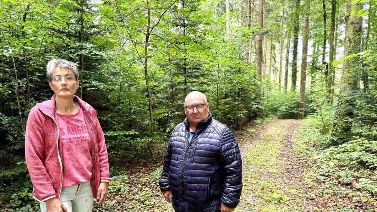 Tunesier (35) lagert im Wald und bedroht Bürger – Polizei hat keine Handhabe