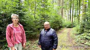 Tunesier (35) lagert im Wald und bedroht Bürger – Polizei hat keine Handhabe