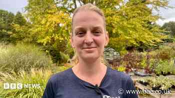 Gardeners reporting false autumn after dry weather
