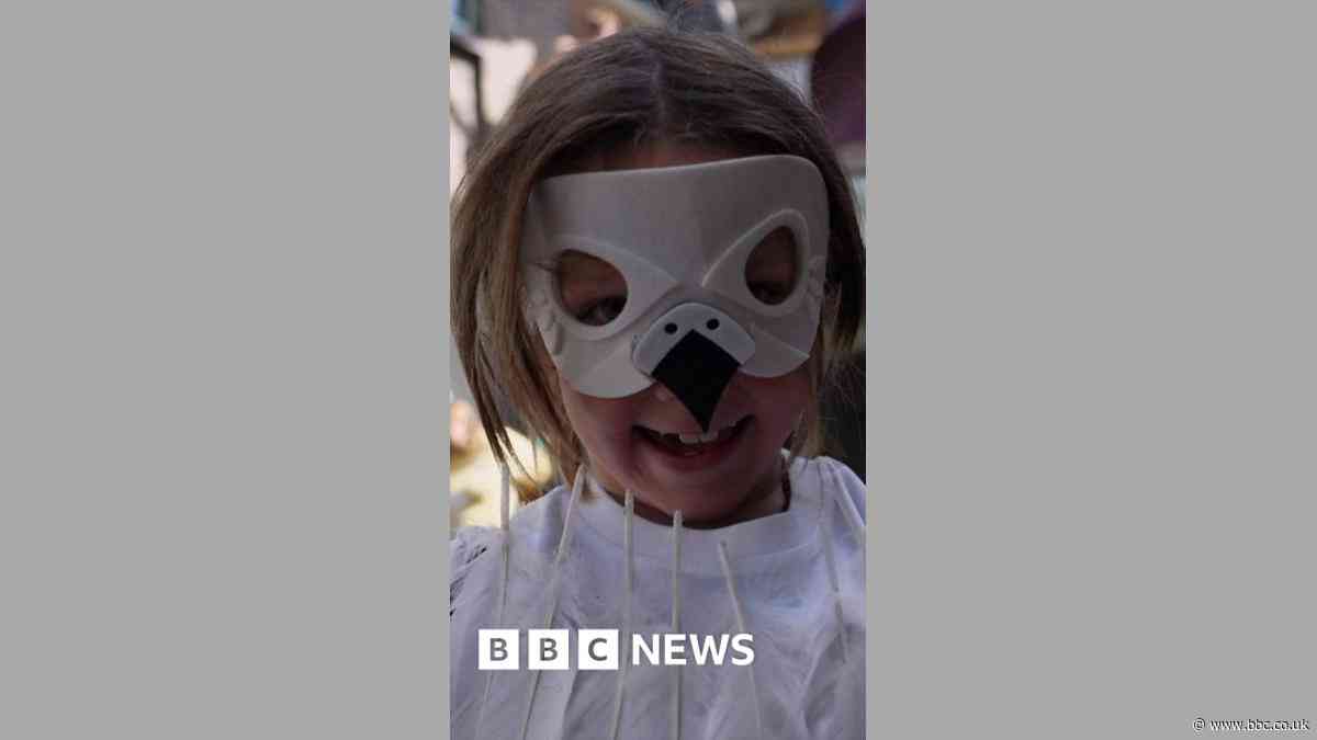 Seagull impersonators screech for championship crown