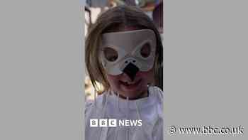 Seagull impersonators screech for championship crown