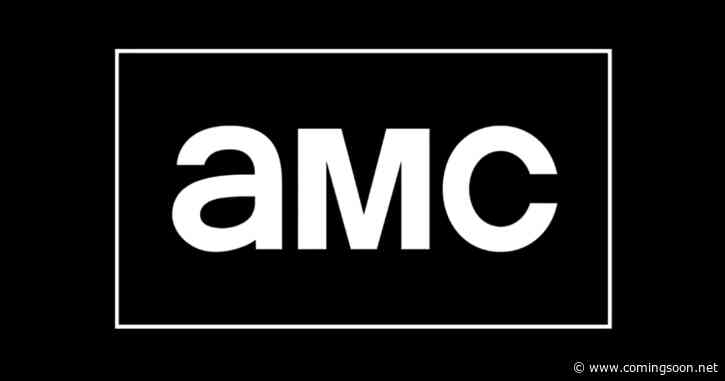 AMC Series Canceled After 1 Season Is Dominating on Streaming Now