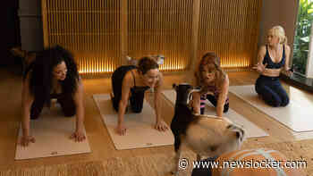 Actrices Spa Weekend  beleven hilarische momenten tijdens geitenyoga: ’Ze waren gestoord!’