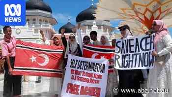'Avengers' and 'white flags': How Indonesians are voicing dissent against the government
