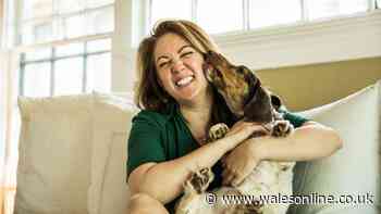 Signs your dog has ADHD and isn't just 'badly behaved' – according to vet