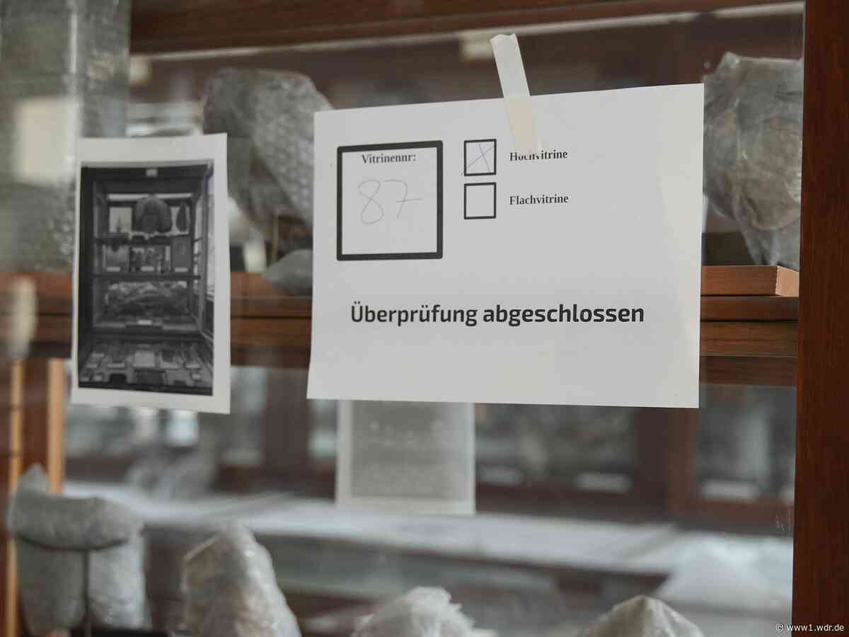 Erste Spuren zum Bonner Fossilien-Diebstahl