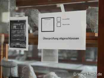 Erste Spuren zum Bonner Fossilien-Diebstahl