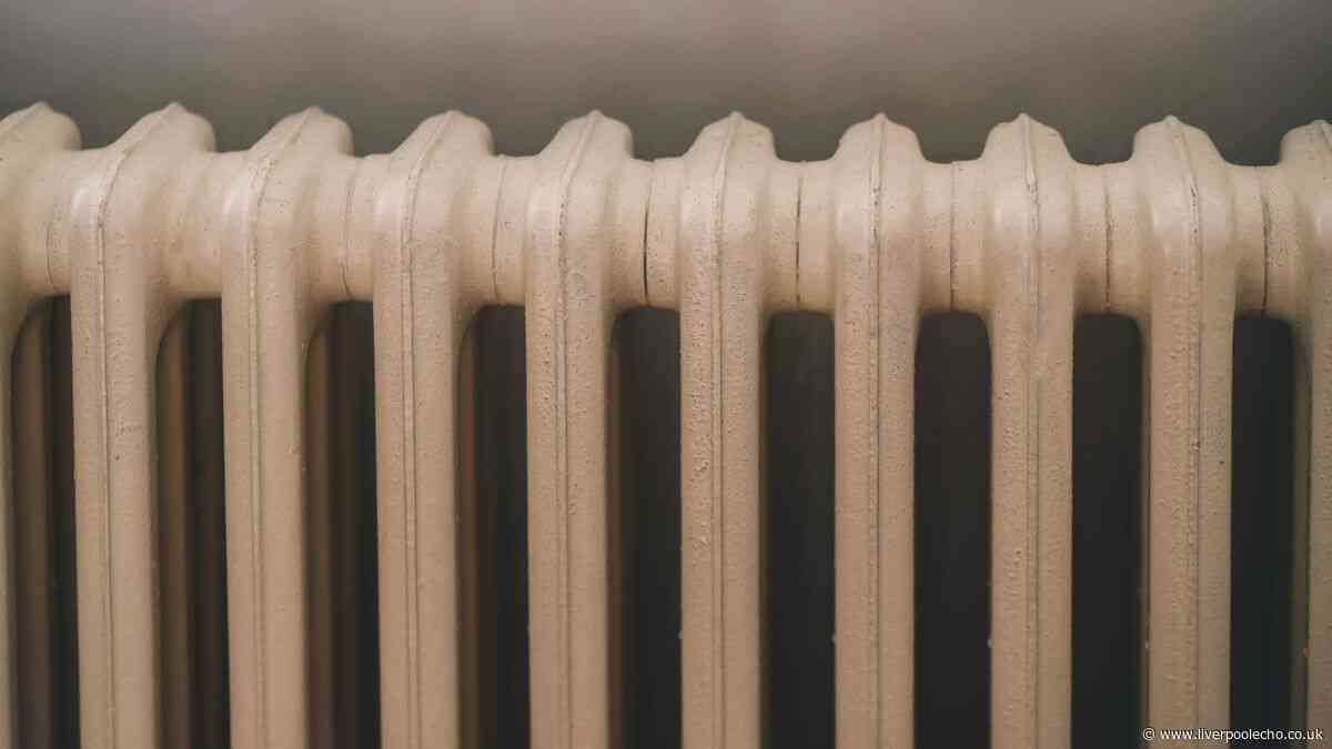 UK households urged to make 1 radiator check before September