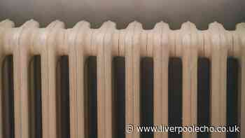 UK households urged to make 1 radiator check before September