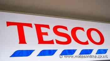 Two-day isolation warning as Tesco recalls salad linked to fatal syndrome