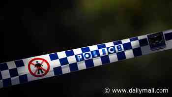 Teenage girl dies after she is found unresponsive at a home in ritzy Sydney suburb - as cops launch urgent investigation